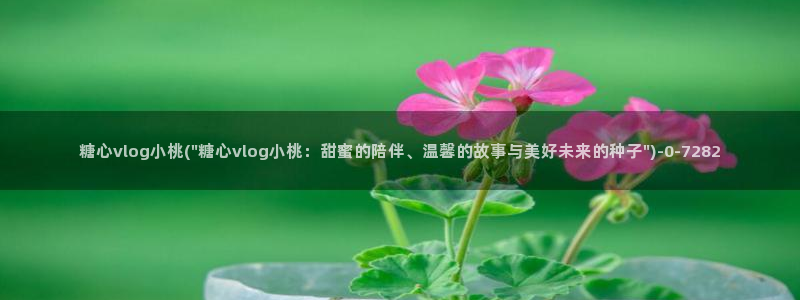 糖心vlogg