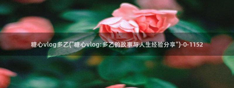 糖心tx：糖心vlog多乙(\