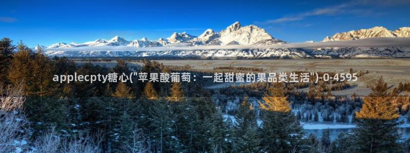 糖心51