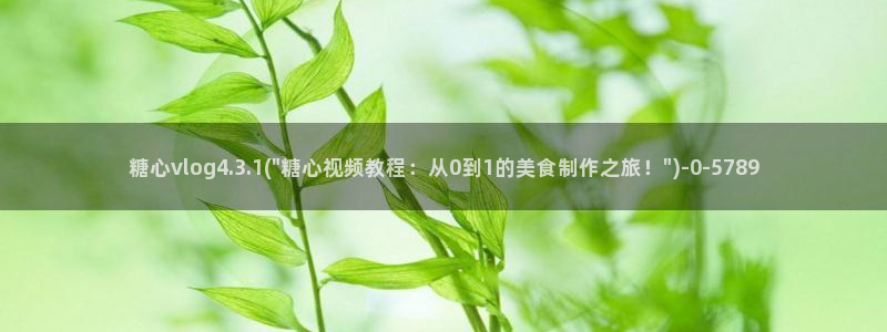 t糖心：糖心vlog4.3.1(\