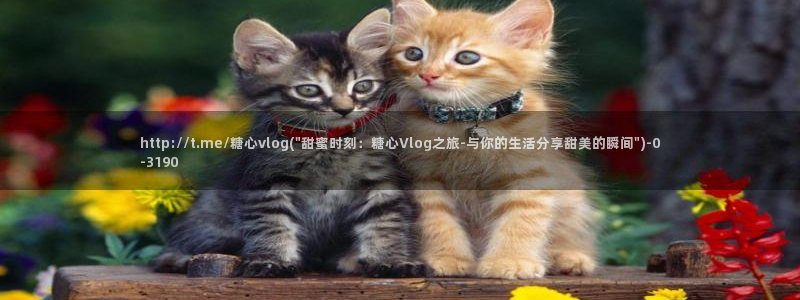 糖心出品